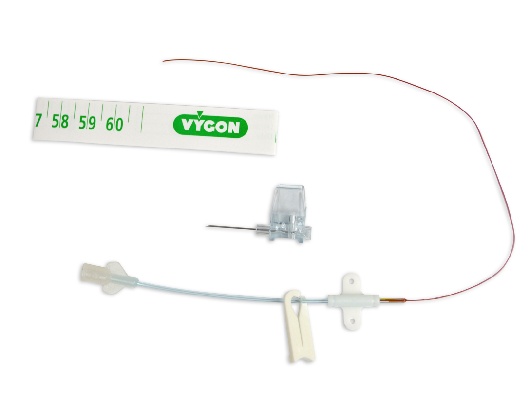 Newborns and blood vessels